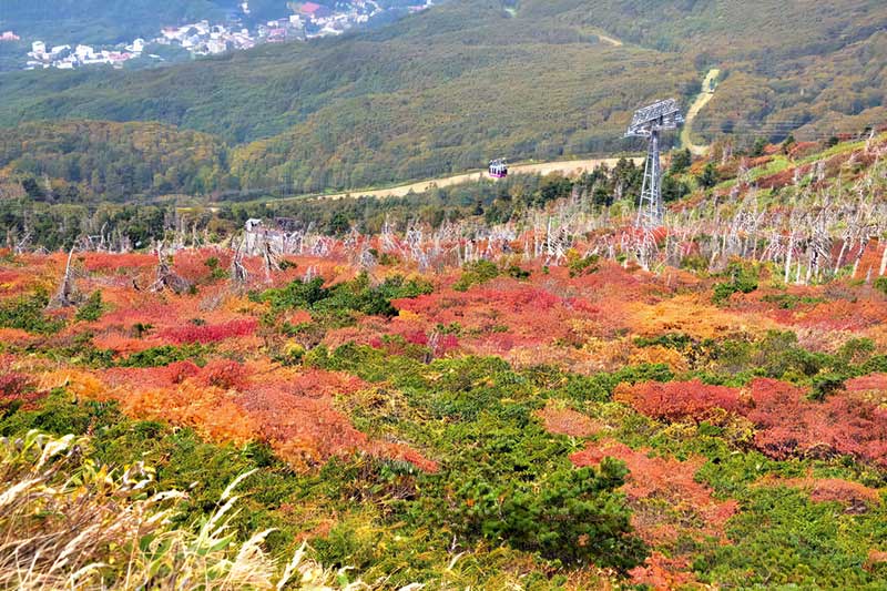 蔵王ロープウェイ