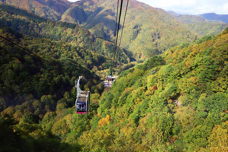 天元台高原ロープウェイ